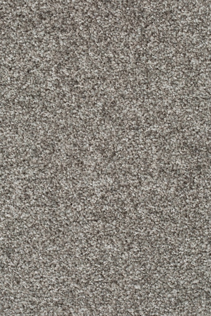 Homeline 27 Tapijt Pilar 500cm Kleur 176