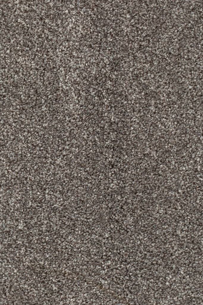 Homeline 27 Tapijt Pilar 500cm Kleur 190