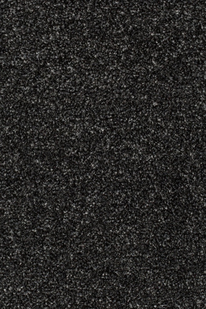 Homeline 27 Tapijt Pilar 500cm Kleur 77