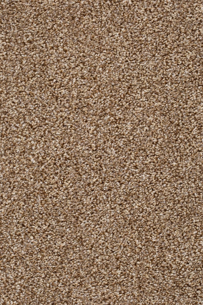 Homeline 27 Tapijt Pilar 500cm Kleur 92