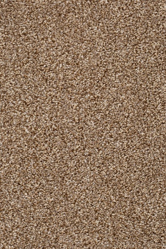 [TEPPILA5_092] Homeline 27 Tapijt Pilar 500cm Kleur 92