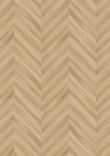 [LVTDESIGNO_5802] LVT DESIGN 555 Evolut 2,5/0,55mm Chevron DB 5802 Frosty Oak 523x92x2,5mm | 2,03m²