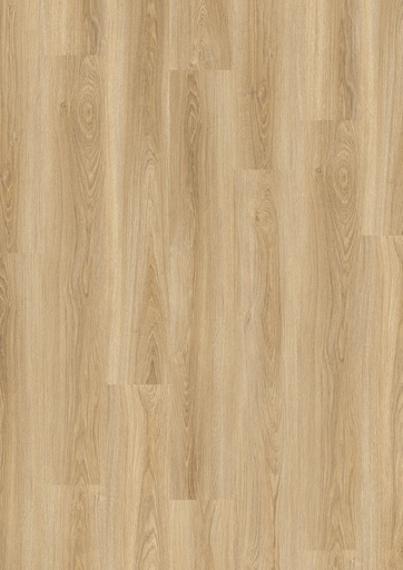 [LVTDESIGNE_5902] LVT DESIGN 555 Evolut 2,5/0,55mm DB 5902 Frosty Oak 1320x196x2,5mm | 3,62m²