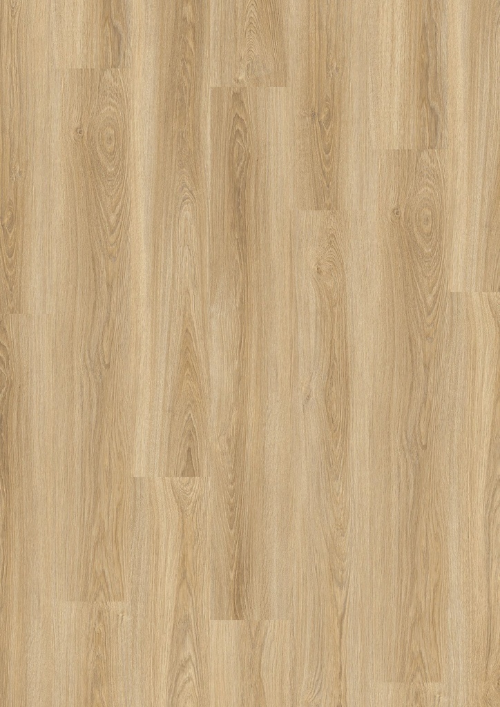 LVT DESIGN 555 Evolut 6,0/0,55mm Click 902 Frosty Oak 1251x189x6mm | 1,89m²
