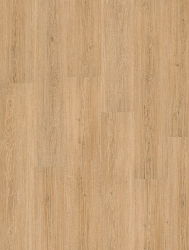 LVT Homeline 30 Click 4,8mm/NS 0,3mm 31-15 Risseiche 17,81x124,46cm | Pak à 1,773 m²