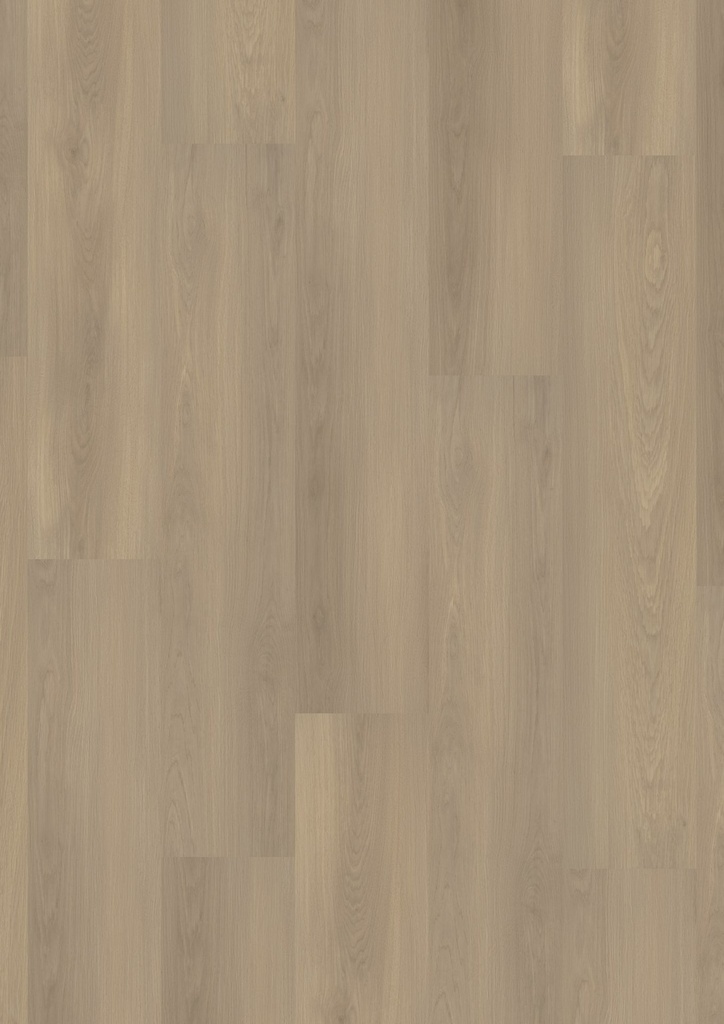 LVT Homeline 30 Click 4,8mm/NS 0,3mm 31-23 Nebeleiche 17,81x124,46cm | Pak à 1,773 m²