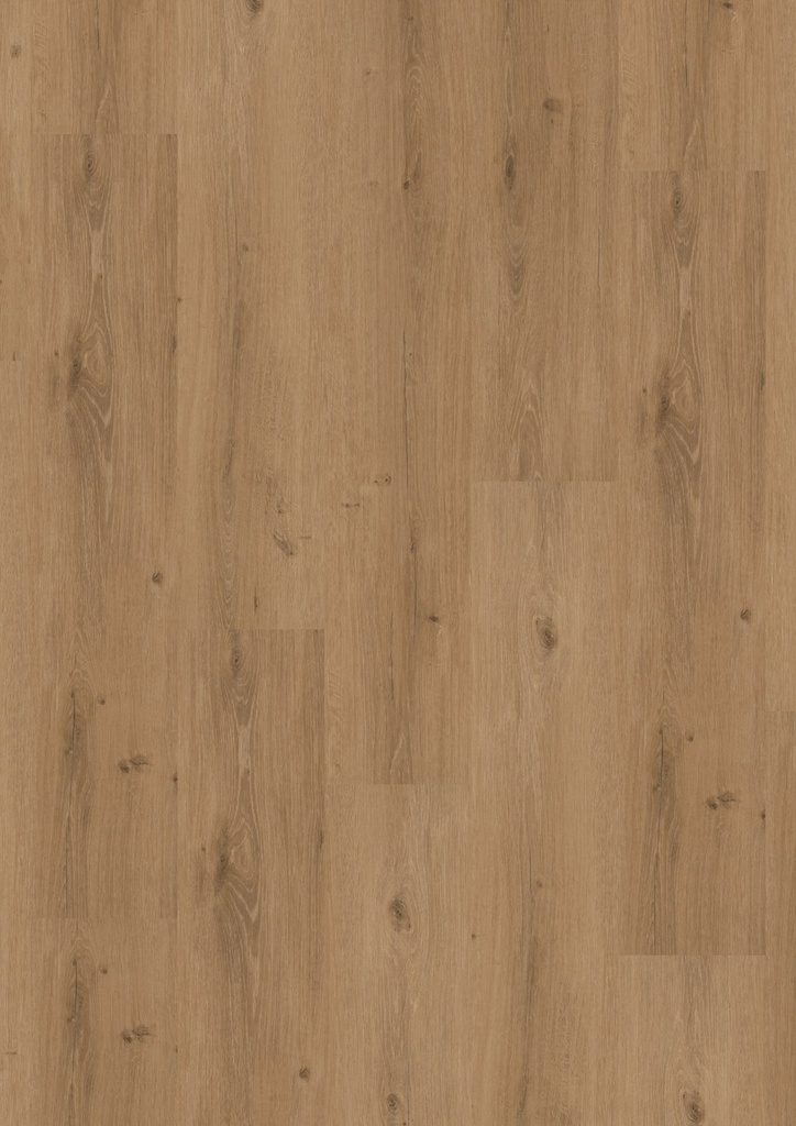 LVT Homeline 30 DB 2,0mm/NS 0,3mm 30-20 Steineiche 22,86x121,92 | Pak à 3,34m²
