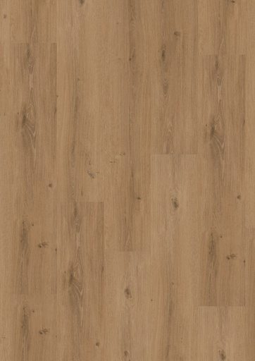 [PVCHOME55_5520] LVT Homeline 55 DB 2,5mm/NS 0,55mm 55-20 Steineiche 22,86x121,92 | Pak à 3,34m²