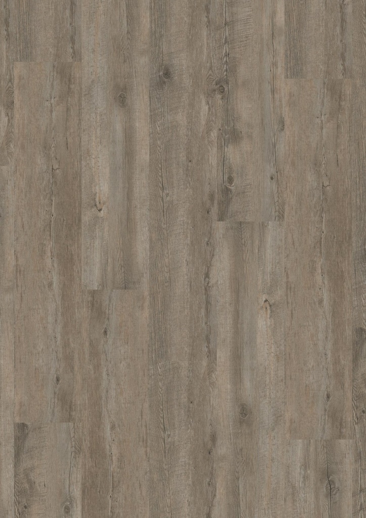 LVT Homeline 55 DB 2,5mm/NS 0,55mm 55-21 Altholz 22,86x121,92 | Pak à 3,34m²