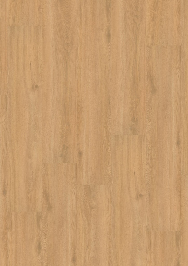 LVT Homeline 55 DB 2,5mm/NS 0,55mm 55-22 Fjordeiche 22,86x121,92 | Pak à 3,34m²