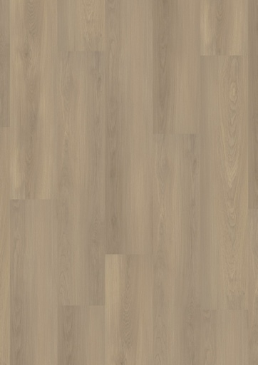 [PVCHOME55_5523] LVT Homeline 55 DB 2,5mm/NS 0,55mm 55-23 Nebeleiche 22,86x121,92 | Pak à 3,34m²
