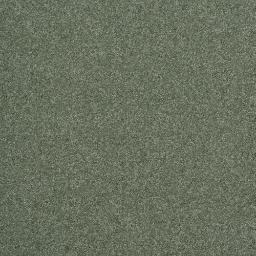 Arriva 027 Tapijt Amazing 400cm Kleur 240 X 400