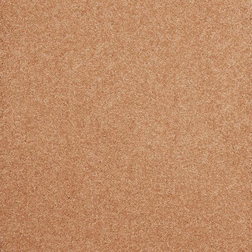 Arriva 027 Tapijt Amazing 400cm Kleur 440 X 400