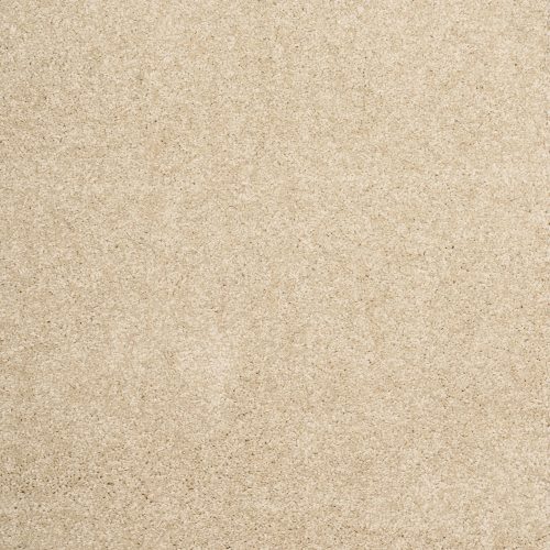 Arriva 027 Tapijt Amazing 400cm Kleur 610 X 400