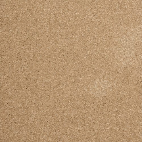 Arriva 027 Tapijt Amazing 400cm Kleur 630 X 400