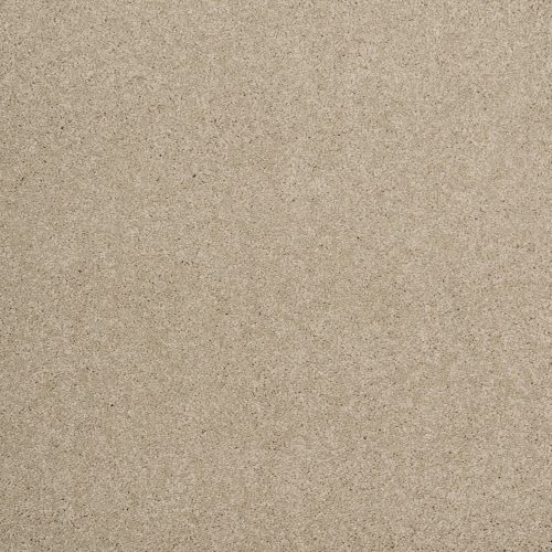 Arriva 027 Tapijt Amazing 400cm Kleur 730 X 400