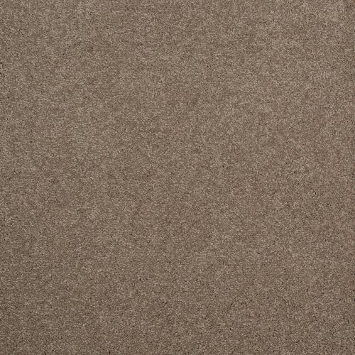 Arriva 027 Tapijt Amazing 400cm Kleur 750 X 400