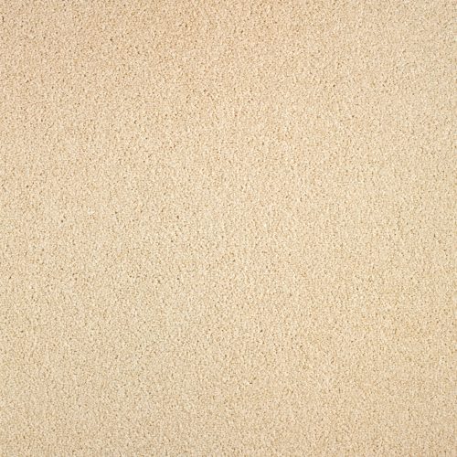 Arriva 027 Tapijt Gloria 400cm Kleur 610 X 400