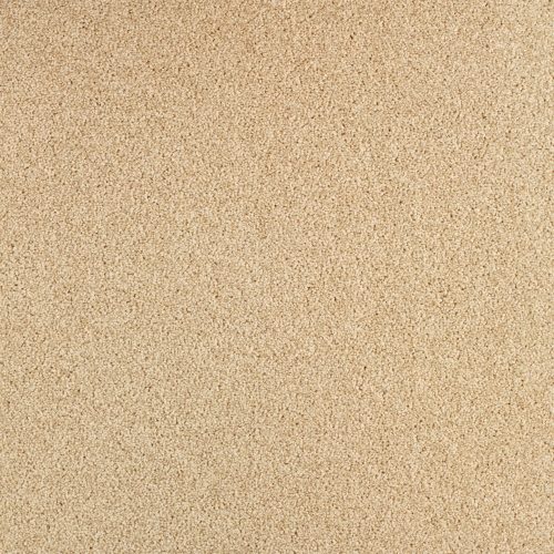 Arriva 027 Tapijt Gloria 400cm Kleur 620 X 400