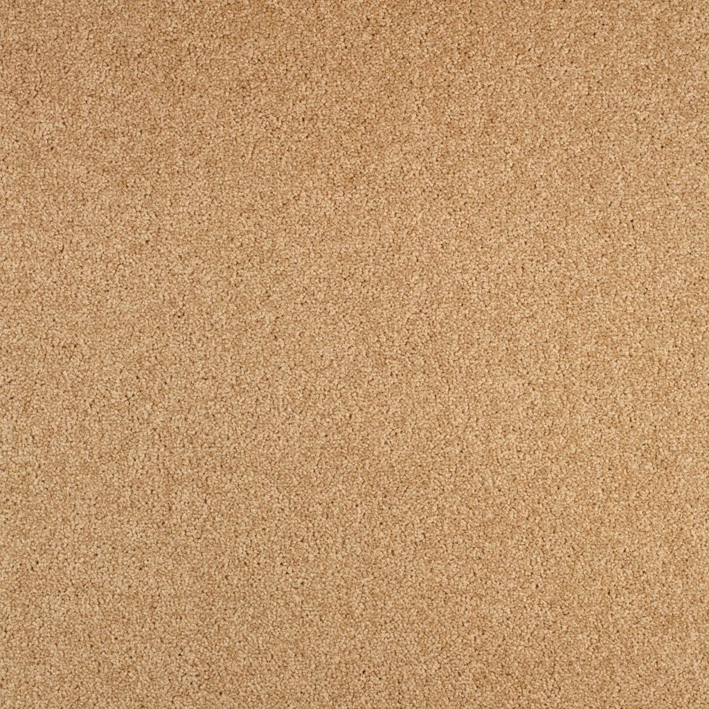 Arriva 027 Tapijt Gloria 400cm Kleur 640 X 400