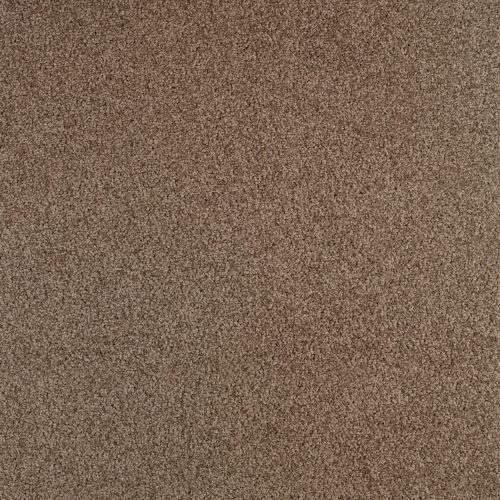 Arriva 027 Tapijt Gloria 400cm Kleur 750 X 400