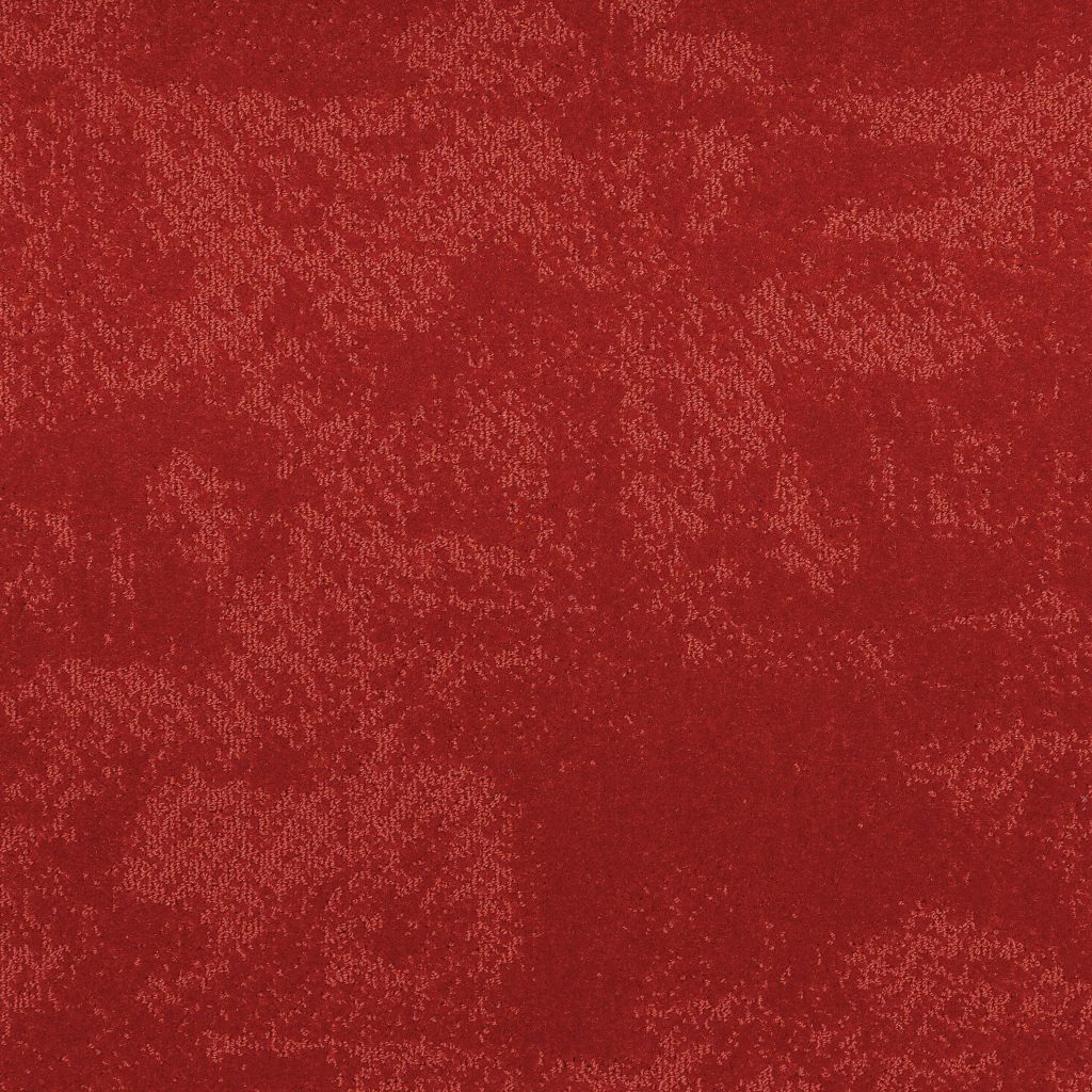 Arriva 027 Tapijt Grande 400cm Kleur 555 X 400