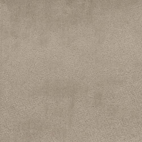 Arriva 027 Tapijt Grande 400cm Kleur 710 X 400