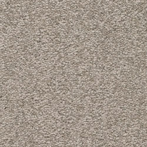 Arriva 027 Tapijt Secrets 400cm Kleur 75 X 400