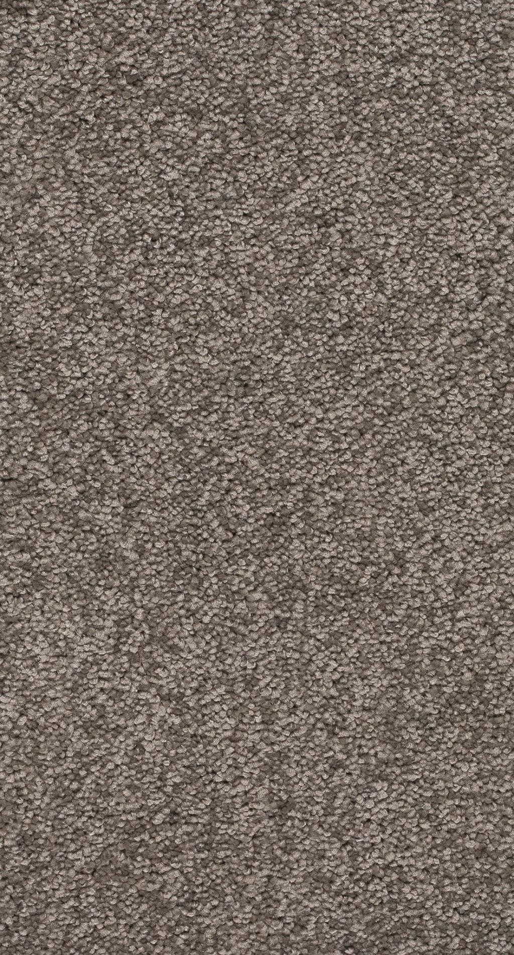 Arriva 027 Tapijt Secrets 400cm Kleur 76 X 400