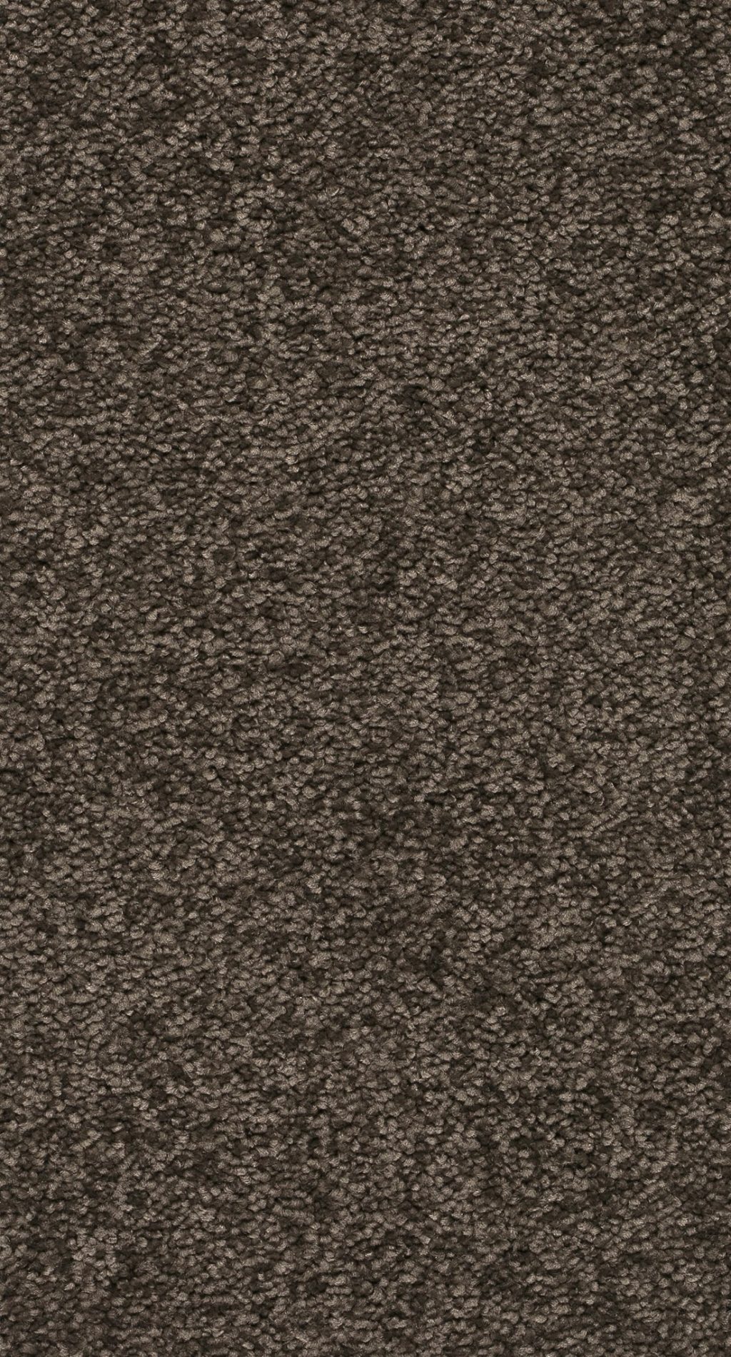 Arriva 027 Tapijt Secrets 400cm Kleur 94 X 400