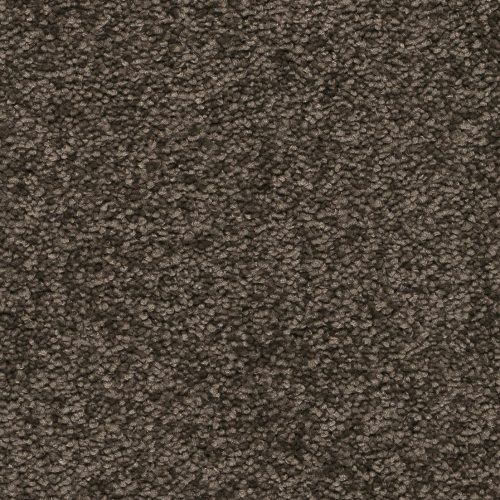 Arriva 027 Tapijt Secrets 400cm Kleur 94 X 400