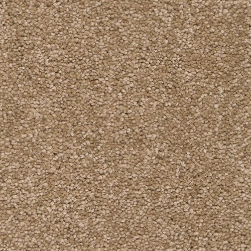 Arriva 027 Tapijt Secrets 500cm kleur 92 x 500,0