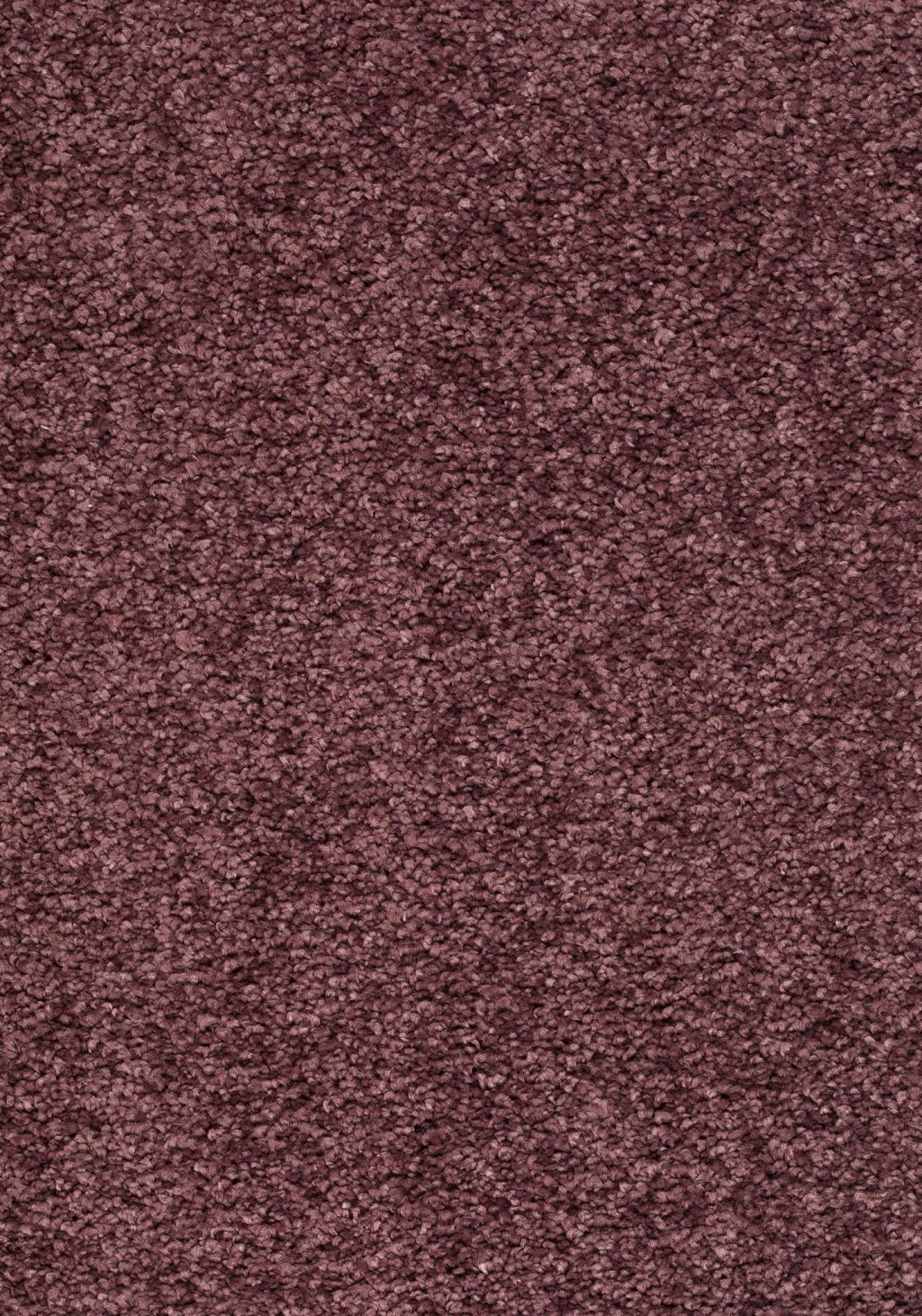 Balance 25 Tapijt Amore 400cm Kleur 83