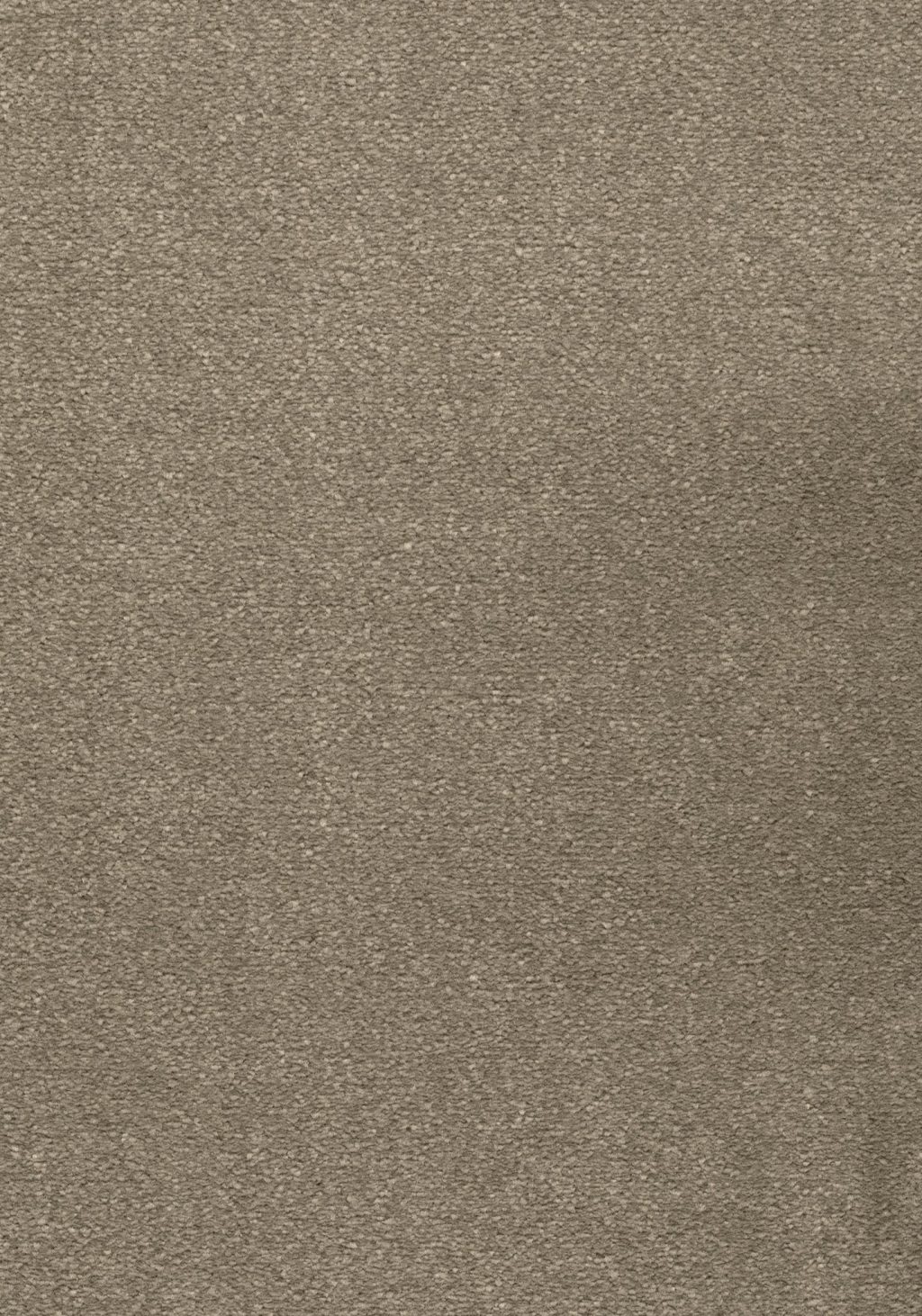 Balance 25 Tapijt Avalon 500cm Kleur 39