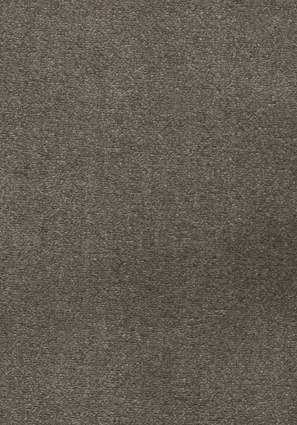 Balance 25 Tapijt Avalon 500cm Kleur 49