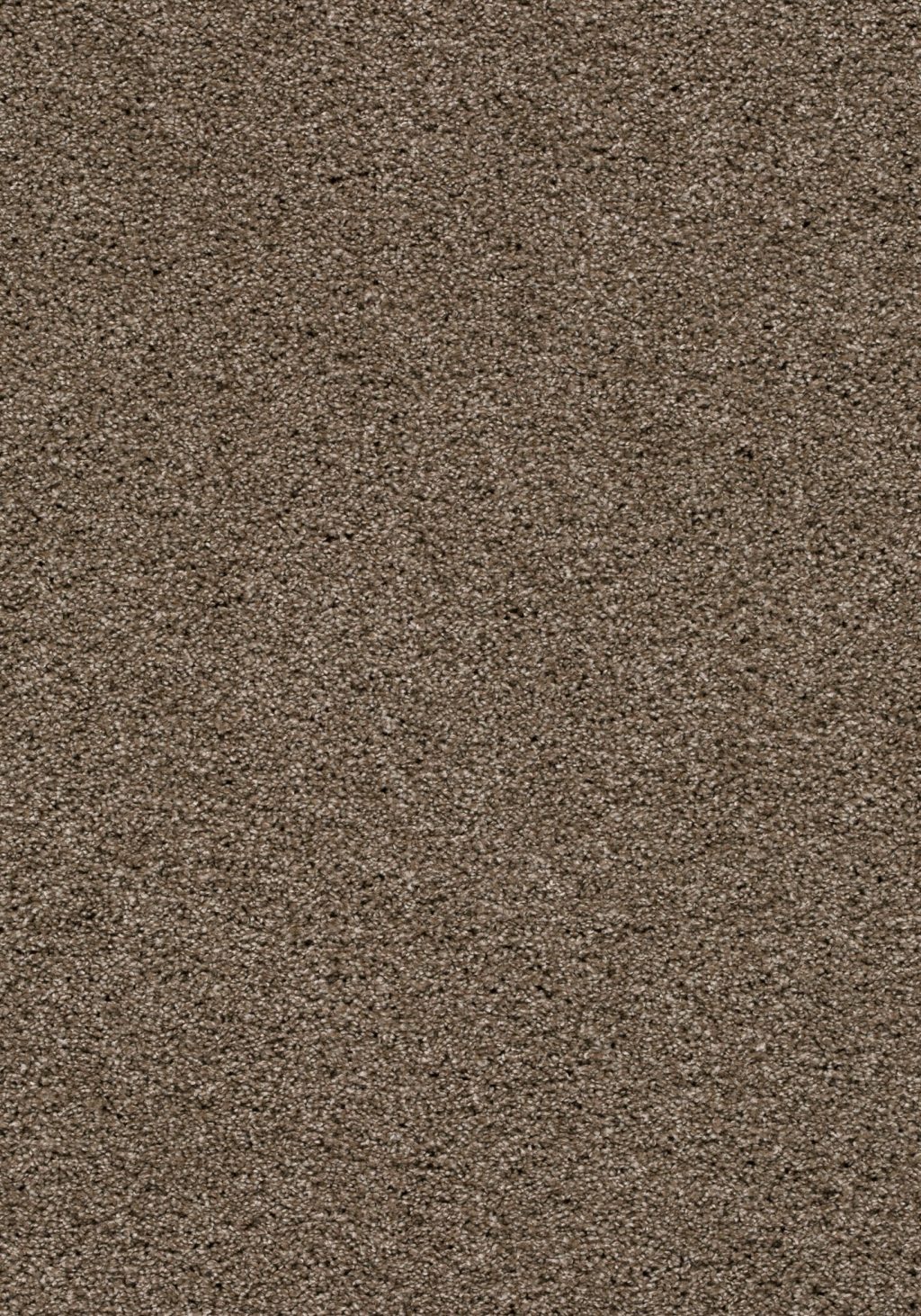 Balance 25 Tapijt Camillo 500cm Kleur 90