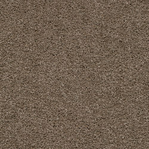 Balance 25 Tapijt Camillo 500cm Kleur 90