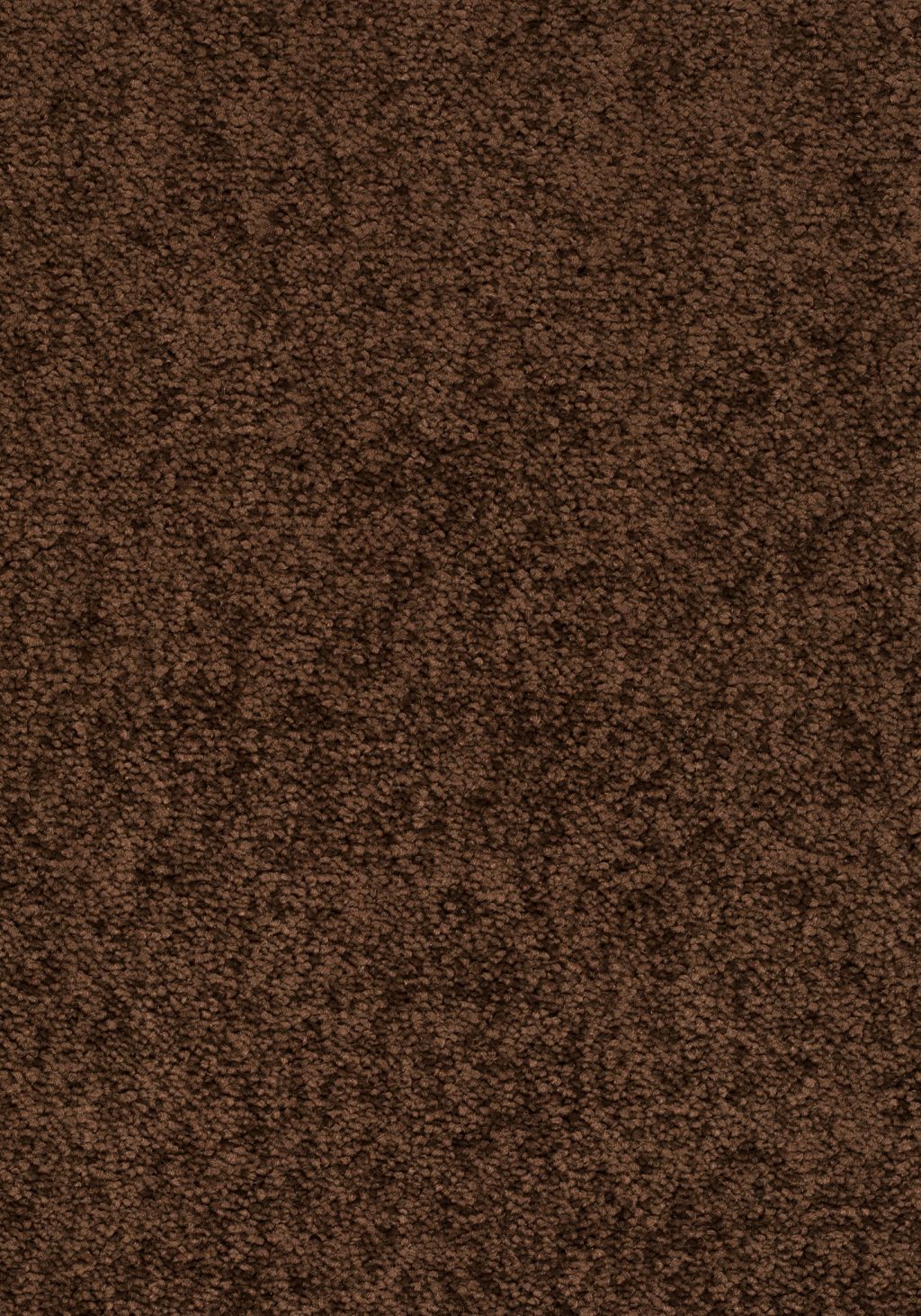 Balance 25 Tapijt Elysee 500cm Kleur 283 X 500