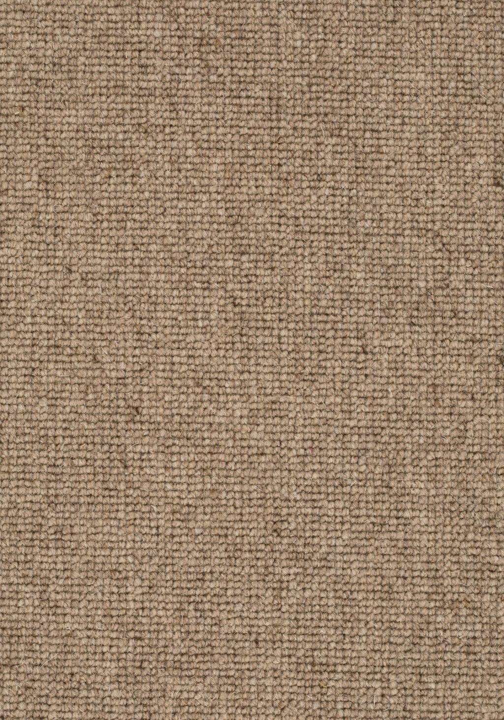 Balance 25 Tapijt Faro 500cm Kleur 137