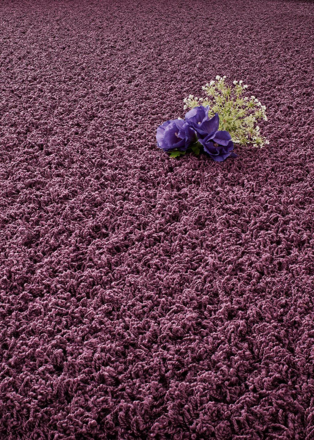 Balance 25 Tapijt Scala 400cm Kleur 188 1