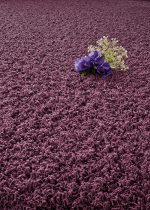 Balance 25 Tapijt Scala 400cm Kleur 188 1