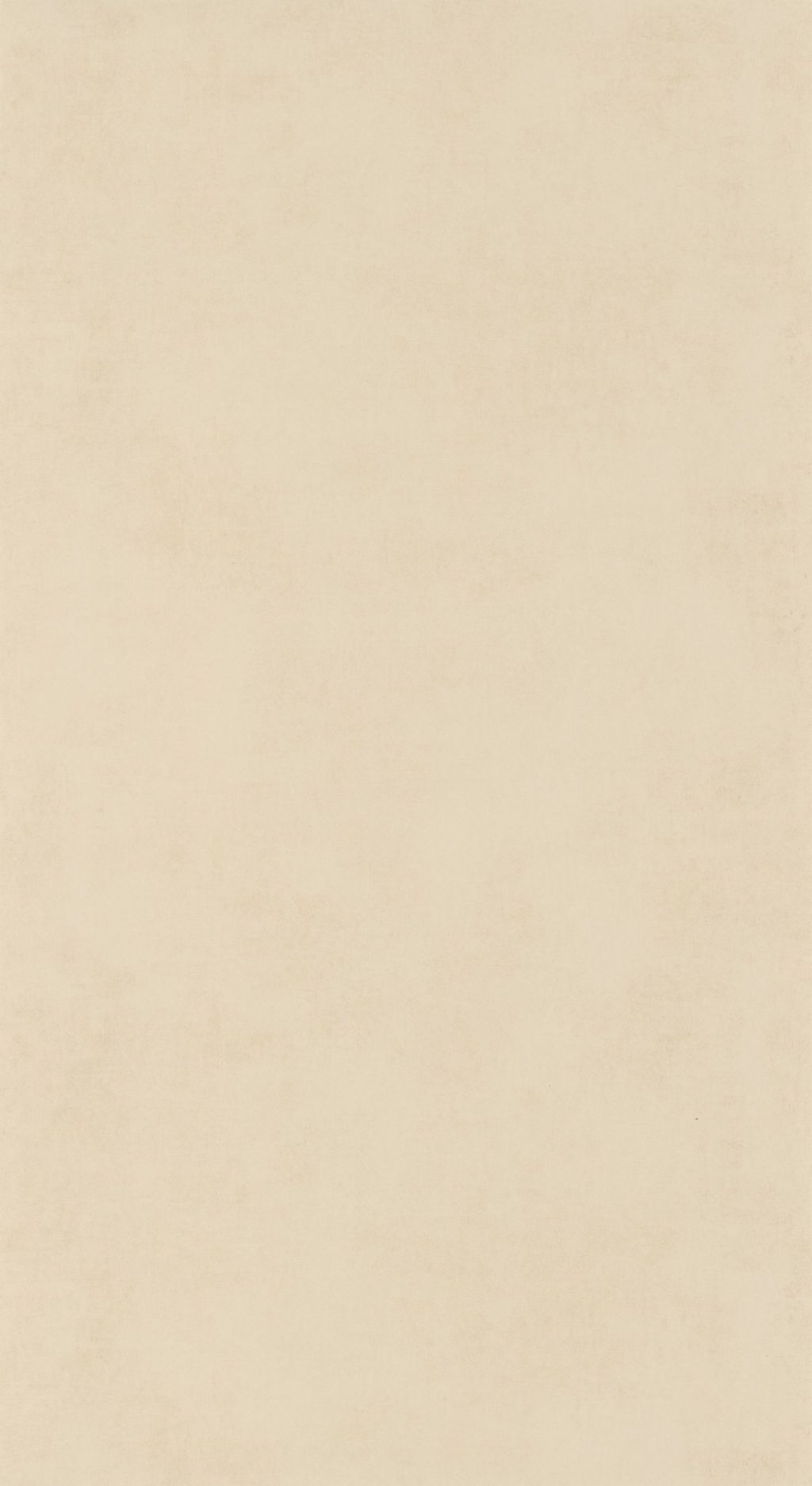 Behang 20704 Color III 2025 10,05 x 0,53 mtr Behang 20704 Color III 2025 10,05 x 0,53 mtr