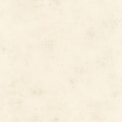 Behang 20729 Color III 2025 10,05 x 0,53 mtr