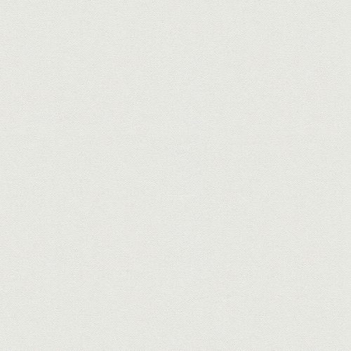 Behang EB525 Murals II 2025 10,05 x 0,53 mtr