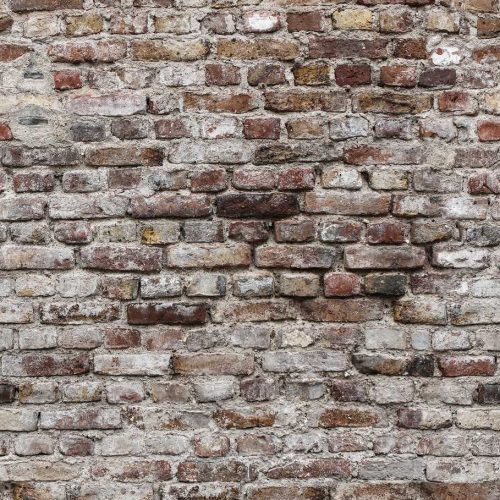 Behang EBD600 Murals II 2025 Digitaaldruk 2,80 mtr x 1,59 mtr