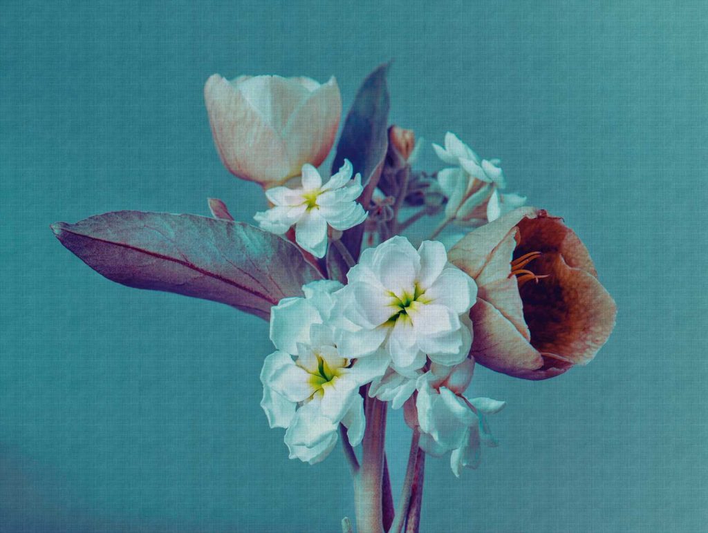 Behang EBD608 Murals II 2025 Digitaaldruk 2,80 mtr x 3,71 mtr