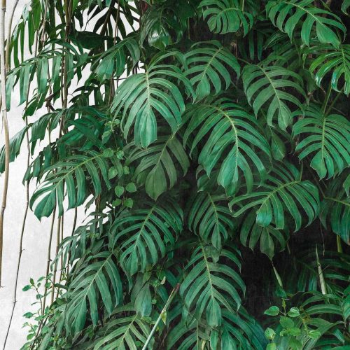 Behang EBD680 Murals II 2025 Digitaaldruk 2,80 mtr x 3,71 mtr