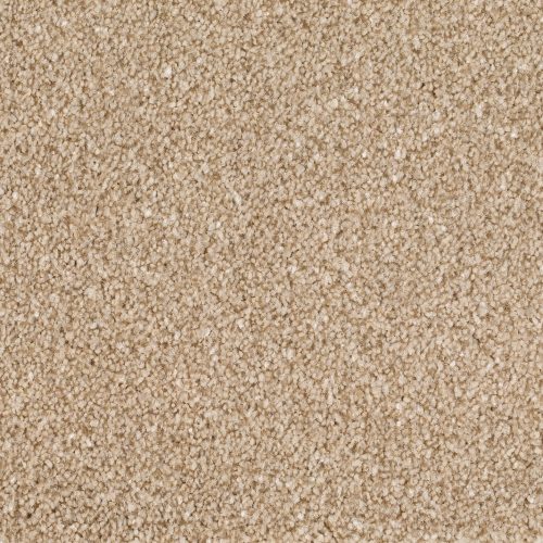 Format 25 Tapijt Anden 400cm Kleur 250