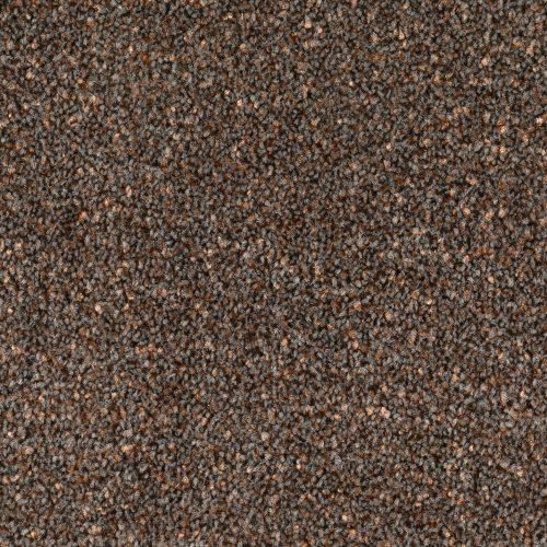 Format 25 Tapijt Anden 500cm Kleur 200