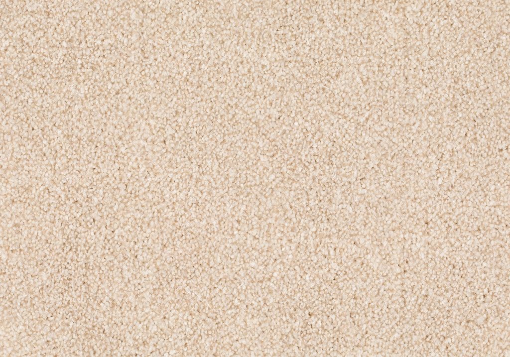 Format 25 Tapijt Anden 500cm Kleur 240